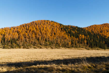 Autumn landscape from italian Alps. Yellow trees. Beautiful dolomites viewの写真素材