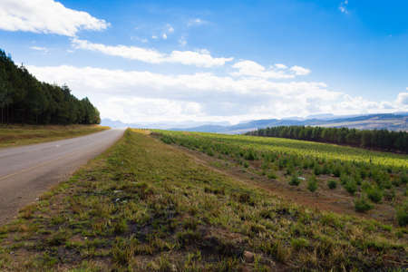 Landscape from Blyde River Canyon along the road to Graskop. South African panorama. Rural panoramaの写真素材