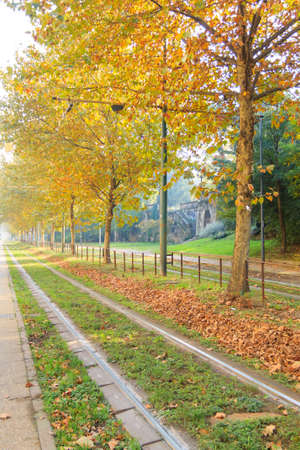 Milan tramway in perspective during autumn season. Traditional transportation mode. Urban panorama.の写真素材