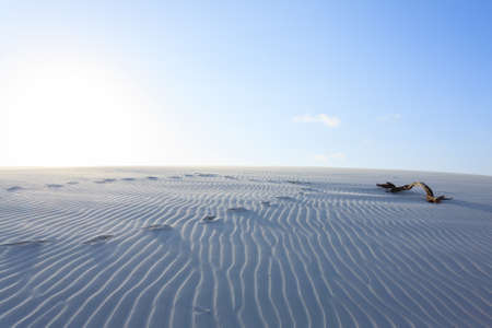 White sand dunes panorama from Lencois Maranhenses National Park, Brazil. Rainwater lagoon. Brazilian landscapeの写真素材