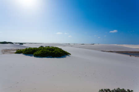 White sand dunes panorama from Lencois Maranhenses National Park, Brazil. Rainwater lagoon. Brazilian landscapeの写真素材