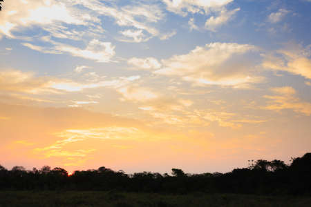 Sundown from Pantanal. Brazilian wetland region. Panorama from Brazilの写真素材