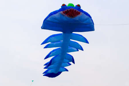 Blue kite that is flying. Blue fish kite.の写真素材