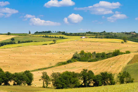 Tuscany hills landscape, Italy. Rural italian panorama.