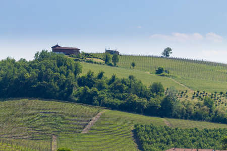 Beautiful Italian landscape. Vineyards from Langhe region,Italy agriculture. Unesco world heritage...