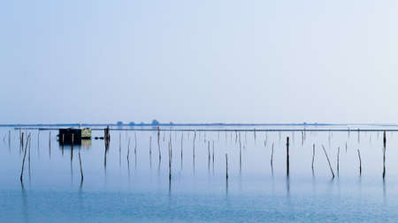 Shellfish farming from Po river lagoon, Italy. Scardovari beach. Italian rural landscapeの写真素材