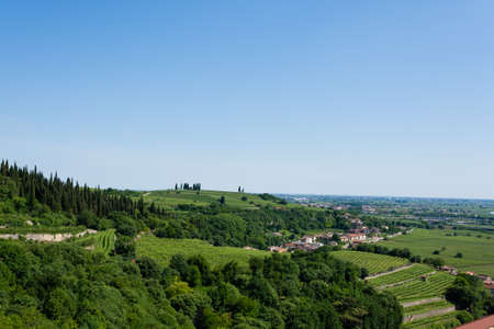 Vineyards from Soave, famous wine area. Italian countrysideの写真素材
