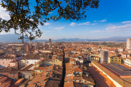 Lucca from Guinigi Tower. Italian landmark. Aerial view of Lucca.