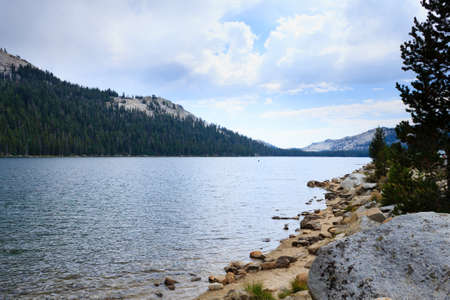 Panorama from Yosemite National Park along the Tioga Pass road, California, USAの写真素材