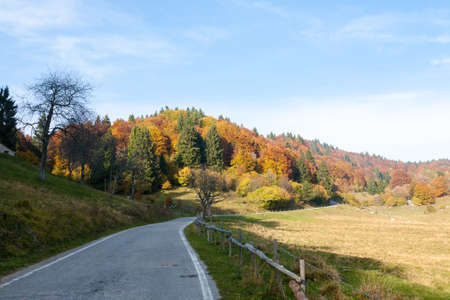 Autumn mountain landscape. Tarmac road in perspective. Grappa mountain, Italian Alpsの写真素材
