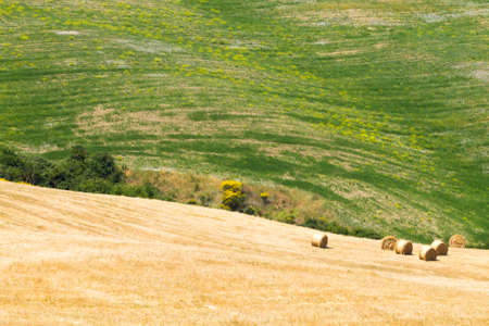 Tuscany hills landscape, Italy. Rural italian panorama.の写真素材
