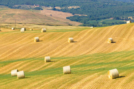 Tuscany hills landscape, Italy. Rural italian panorama.の写真素材