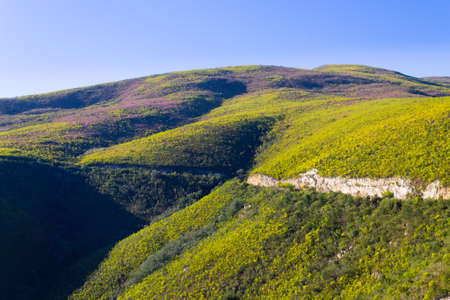 South african landscape along the road from Karoo to Franschhoek. African wildernessの写真素材