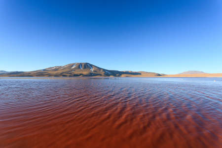 Laguna Colorada landscape,Bolivia. Beautiful bolivian panorama. Red water lagoonの写真素材