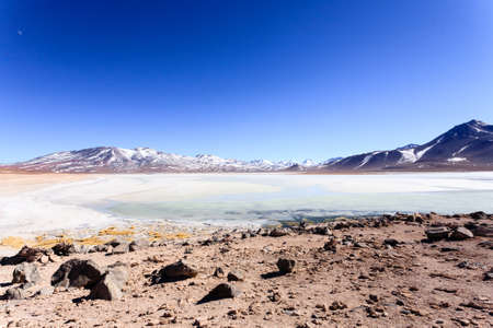 Laguna Blanca landscape,Bolivia. Beautiful bolivian panorama.White lagoon and Licancabur volcanoの写真素材