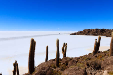 Salar de Uyuni view from Incahuasi island, Bolivia. Largest salt flat in the world. Bolivian landscapeの写真素材
