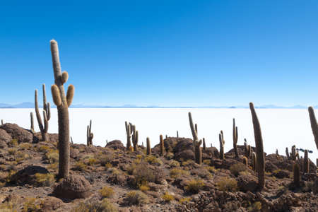 Salar de Uyuni view from Incahuasi island, Bolivia. Largest salt flat in the world. Bolivian landscapeの写真素材