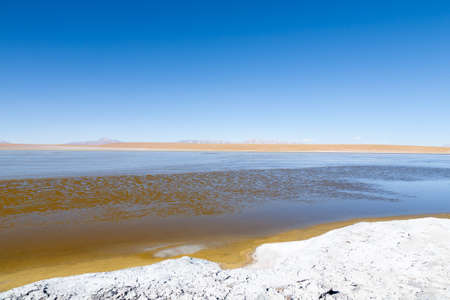 Bolivian lagoon view,Bolivia. Kollpa Kkota lagoon view. Collpa Lagunaの写真素材
