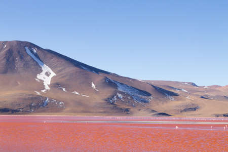 Laguna Colorada landscape,Bolivia. Beautiful bolivian panorama. Red water lagoonの写真素材