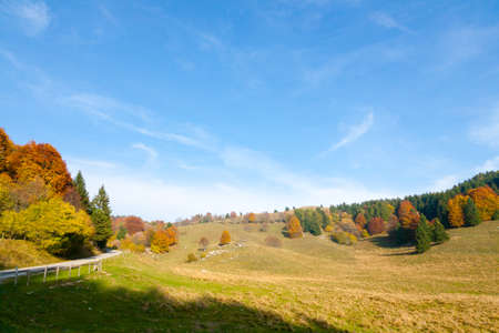 Autumn mountain landscape. Tarmac road in perspective. Grappa mountain, Italian Alpsの写真素材