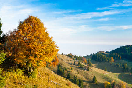 Autumn mountain landscape. Grappa mountain, Italian Alpsの写真素材