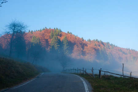 Autumn mountain landscape. Tarmac road in perspective. Grappa mountain, Italian Alpsの写真素材