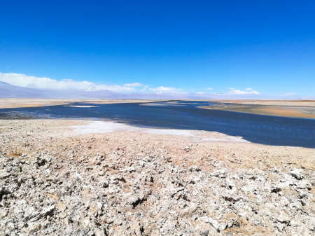 Flamingo natural reserve, Chile.  San Pedro de Atacama, Los Flamencos National Reserveの写真素材