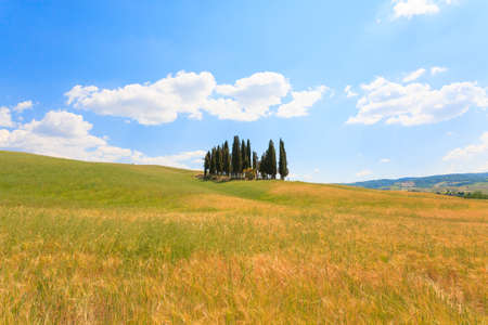 VAL D'ORCIA, ITALY - JUNE 06, 2017: Val d'Orcia cypresses view, Chianti, Tuscany.のeditorial素材
