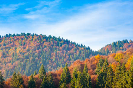 Autumn mountain landscape. Grappa mountain, Italian Alps