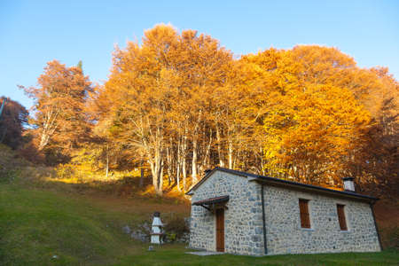 Autumn mountain landscape. Grappa mountain, Italian Alpsのeditorial素材