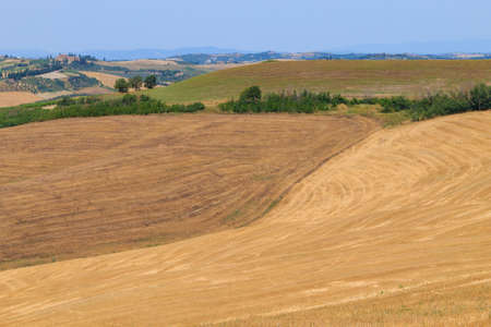 Tuscany hills view, Italy. Italian landscape, Toscanaの写真素材