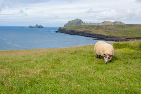 Westman Islands beach view with archipelago island in background. Iceland landscape.Vestmannaeyjarの写真素材
