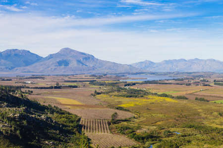 Panorama of a vineyard in the south of Franschhoek close to Cape Town. Stellenbosch. South Africaの写真素材