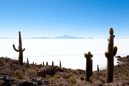 Salar de Uyuni view from Incahuasi island, Bolivia. Largest salt flat in the world. Bolivian landscapeの写真素材