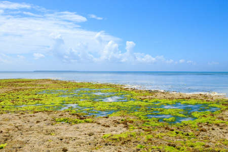 Zanzibar beach landscape, Tanzania, Africa panorama. Indian ocean scenery