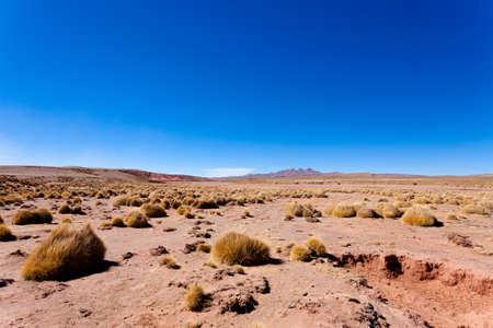 Bolivian mountains landscape,Bolivia.Andean plateau viewの写真素材