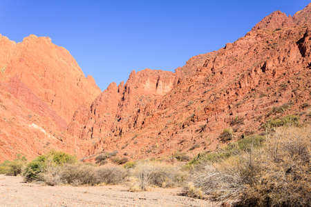 Bolivian canyon near Tupiza,Bolivia.Quebrada de Palmira,Canyon del Inca