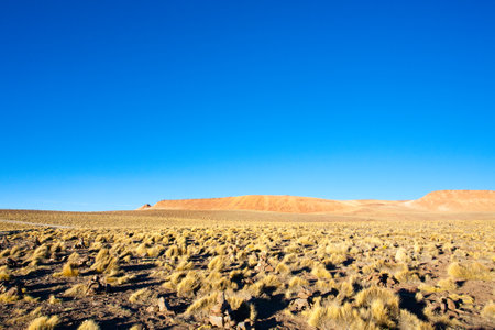 Bolivian landscape, Morejon lagoon view, Bolivia. Andes plateauの写真素材