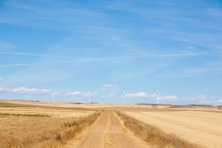 Castile and Leon region rural landscape, Spain. Spanish fields panoramaの写真素材