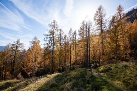 Dolomites range landscape. San Martino di Castrozza mountains view. Italian alps landscapeの写真素材