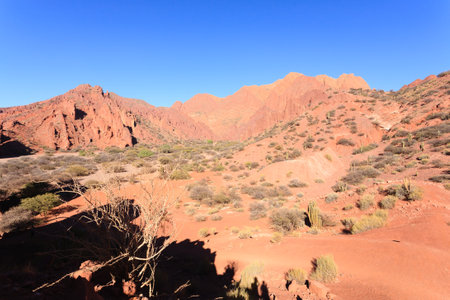 Bolivian canyon near Tupiza,Bolivia.Quebrada de Palmira,Puerta del Diablo.
