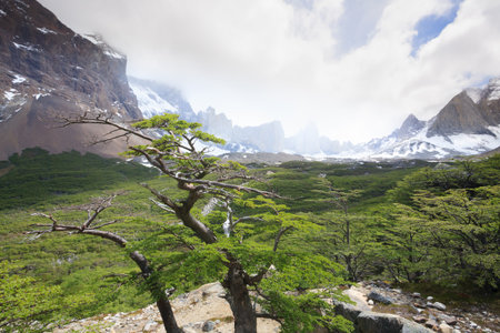 French Valley landscape from Britannic viewpoint, Torres del Paine National Park, Chile. Cuernos del Paine. Chilean Patagoniaの写真素材