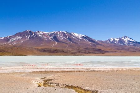 Laguna Hedionda landscape,Bolivia. Beautiful bolivian panorama. Blue water lagoonの写真素材