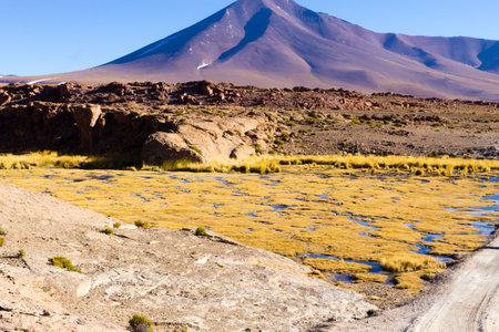 Beautiful bolivian landscape,Bolivia. Lakes and associated wetlands called Bofedales.の写真素材