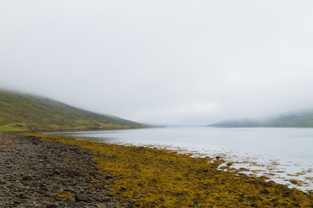 Mjoifjordur rural landscape, east Iceland. Icelandic view