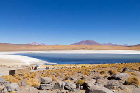 Laguna Canapa landscape,Bolivia. Beautiful bolivian panorama. Blue water lagoonの写真素材