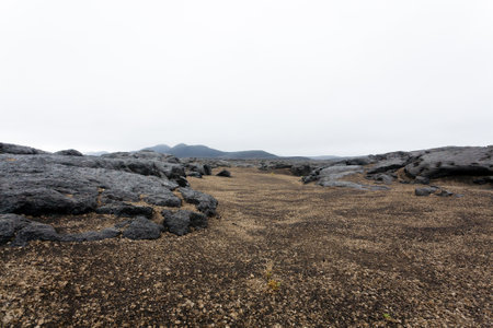 Iceland landscape along the road to Askja. Desolate Icelandic panoramaの写真素材
