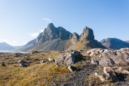 Hvalnes lava beach landscape, east Iceland landmark. Iceland sceneryの写真素材