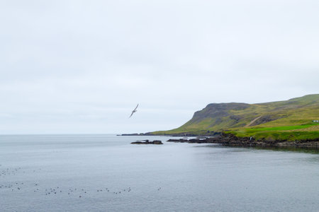 Borgarfjordur fjord view, east Iceland. Icelandic landscapeの写真素材