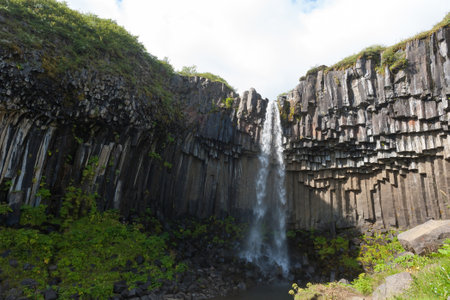 Svartifoss falls in summer season view, Iceland. Icelandic landscape.の写真素材